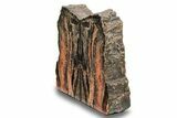 Tall Arizona Petrified Wood Bookends - Beautiful Colors! #258346-2